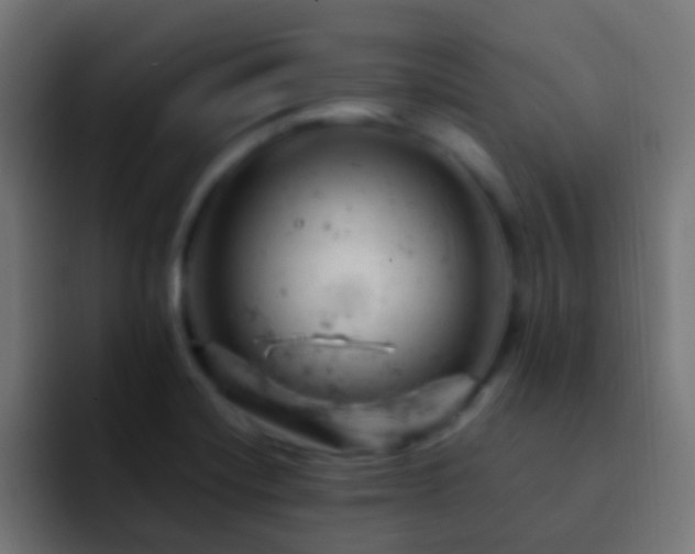 X0000093171420200710031456