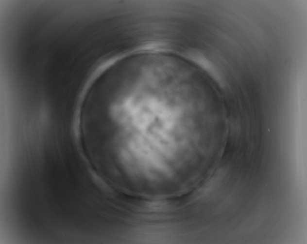 X0000093171421200710031456