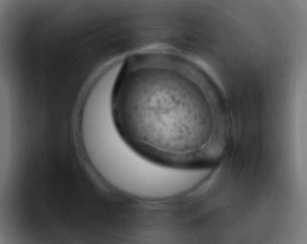 X0000093171422200710031456