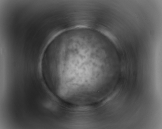X0000093171423200710031456