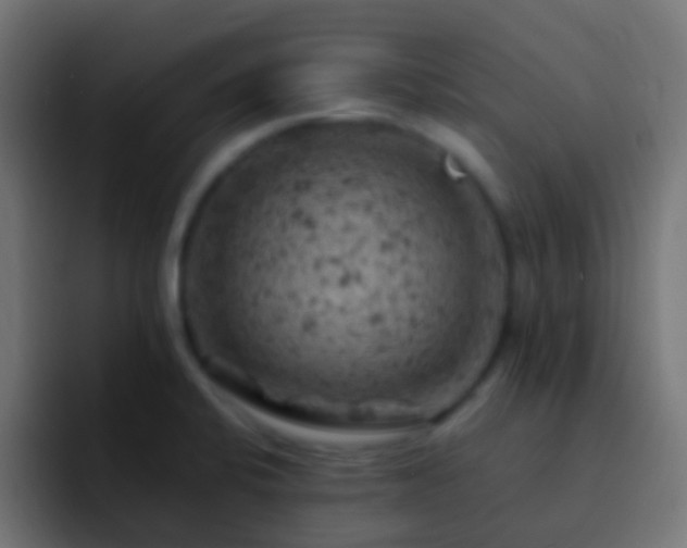 X0000093171424200710031456