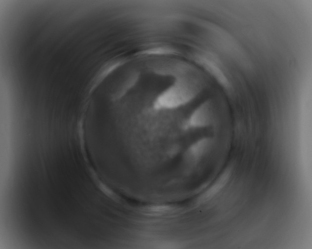 X0000093171425200710031456
