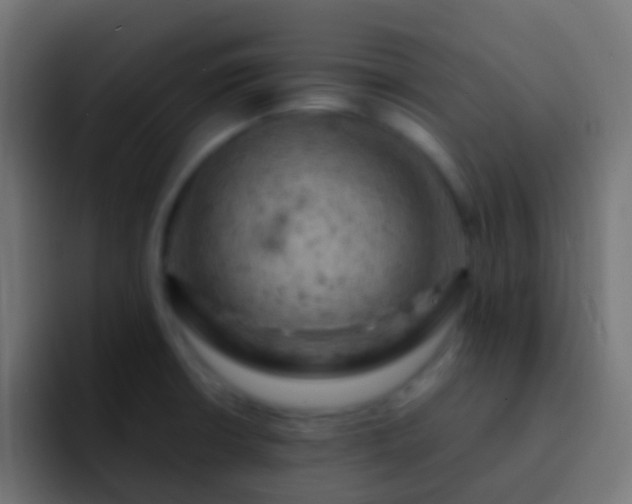 X0000093171426200710031456