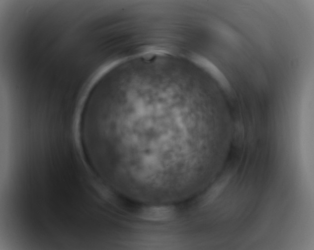 X0000093171427200710031456