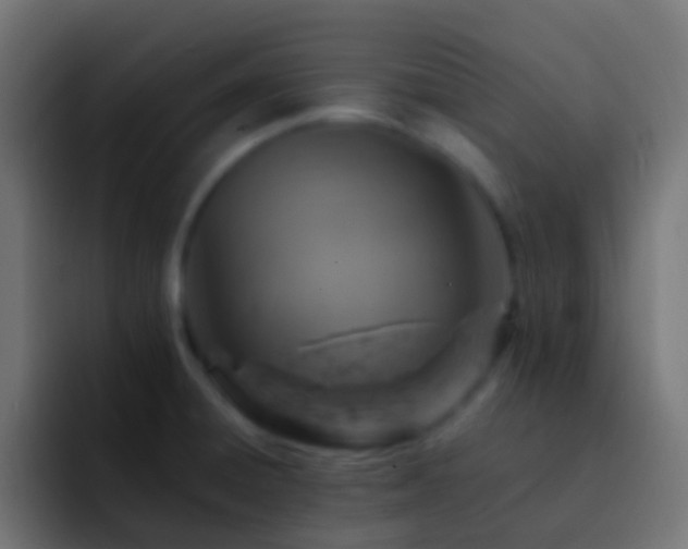 X0000093171428200710031456