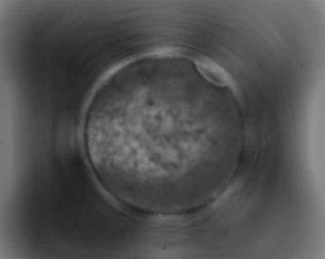 X0000093171429200710031456