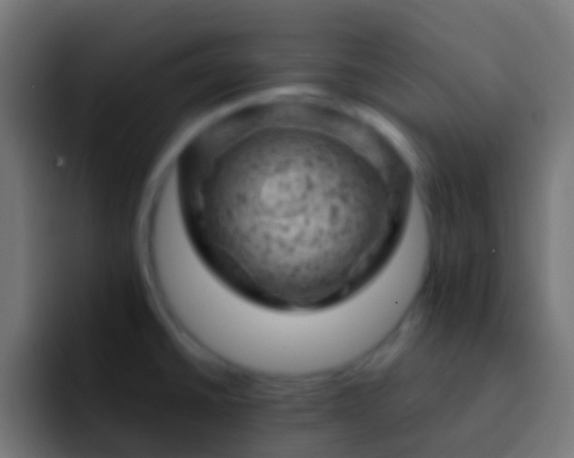X0000093171430200710031456