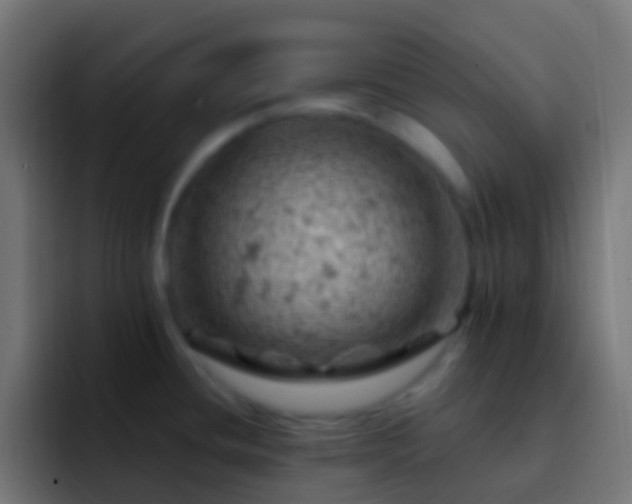 X0000093171436200710031456