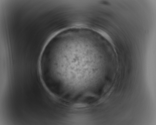 X0000093171440200710031456