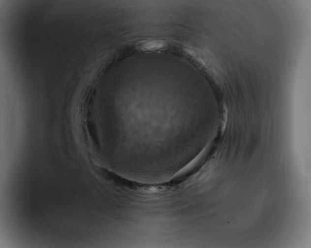 X0000093171441200710031455
