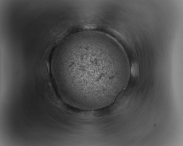 X0000093171444200710031455