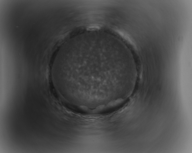 X0000093171445200710031455