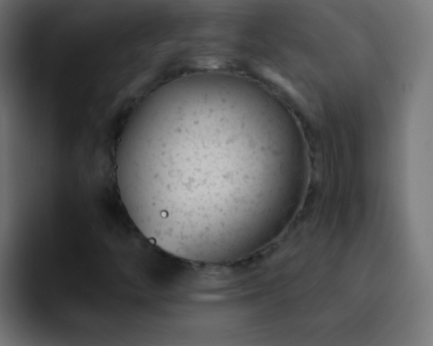 X0000093171446200710031455