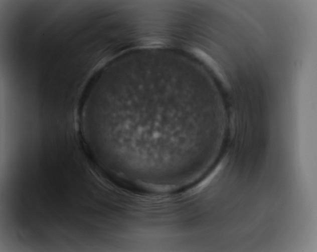 X0000093171449200710031455