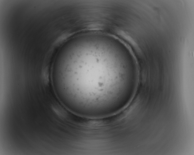 X0000093171451200710031455
