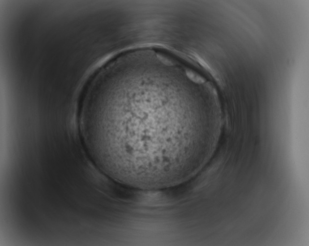 X0000093171452200710031455