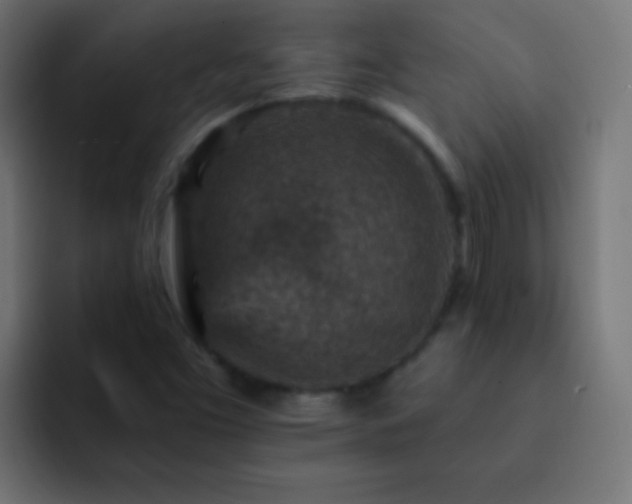 X0000093171453200710031455