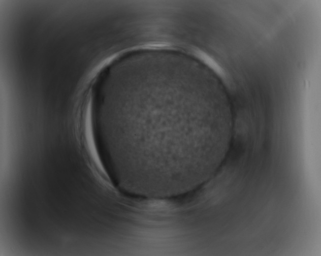 X0000093171456200710031455