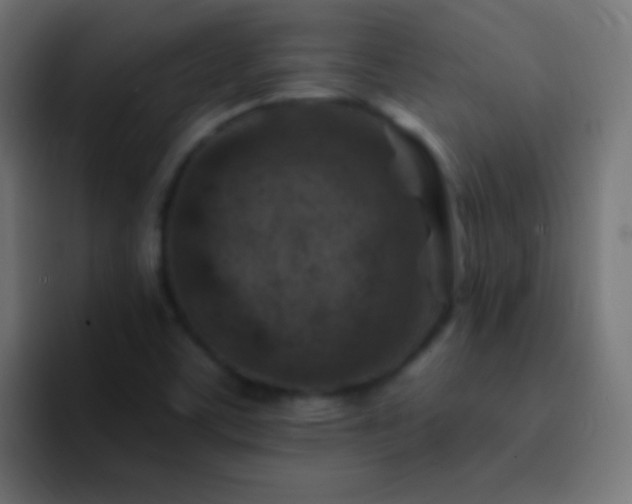 X0000093171459200710031455