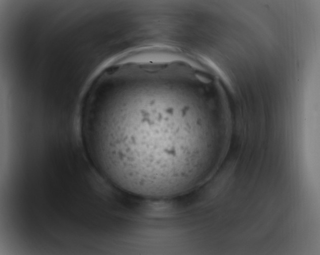 X0000093171460200710031455