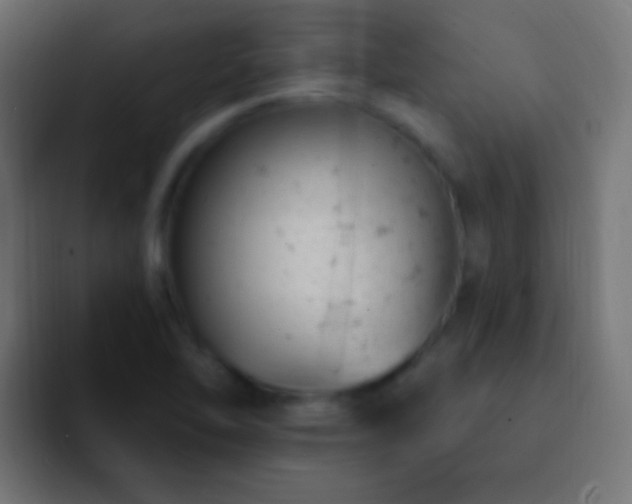X0000093171462200710031455