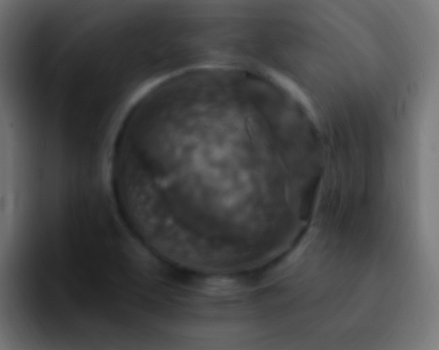 X0000093171463200710031455