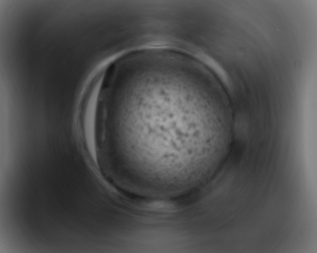 X0000093171464200710031455