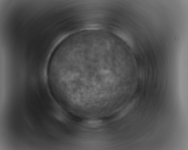 X0000093171466200710031455