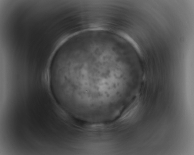 X0000093171467200710031455