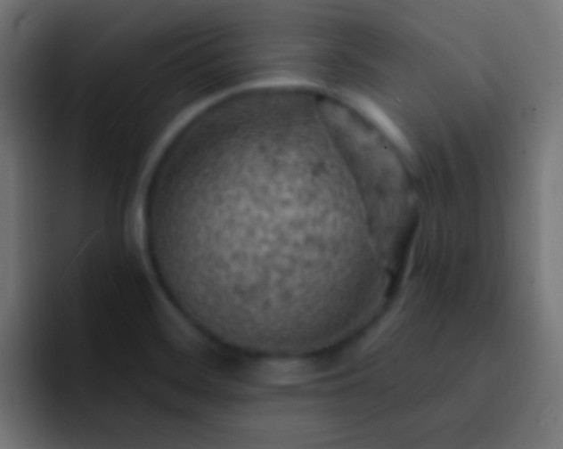 X0000093171468200710031455