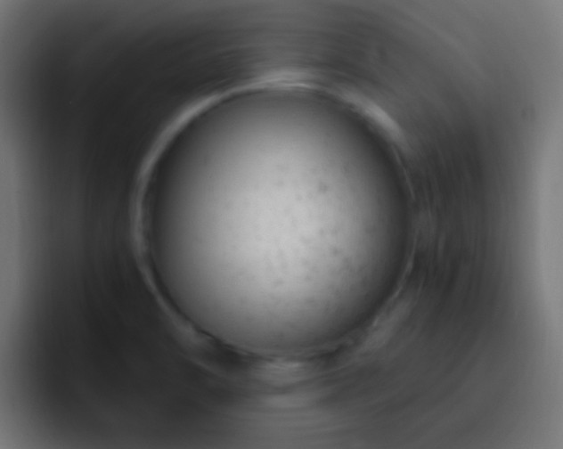 X0000093171470200710031455