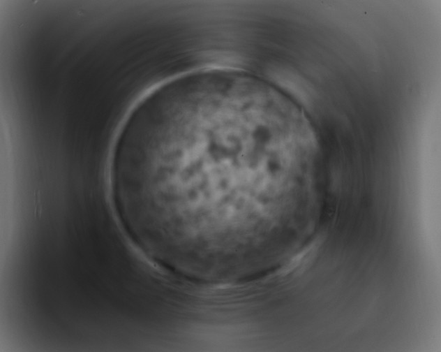 X0000093171471200710031455
