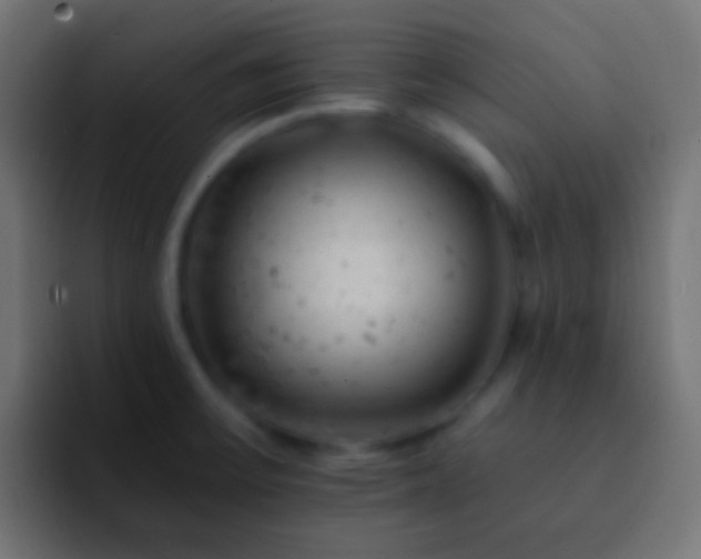 X0000093171475200710031455
