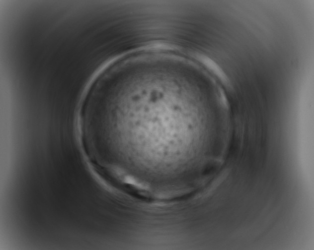 X0000093171476200710031455
