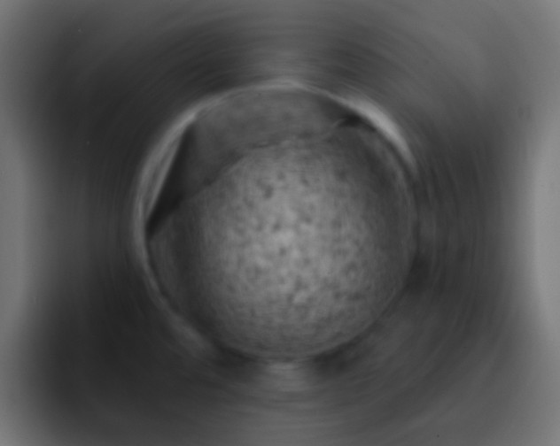 X0000093171480200710031455