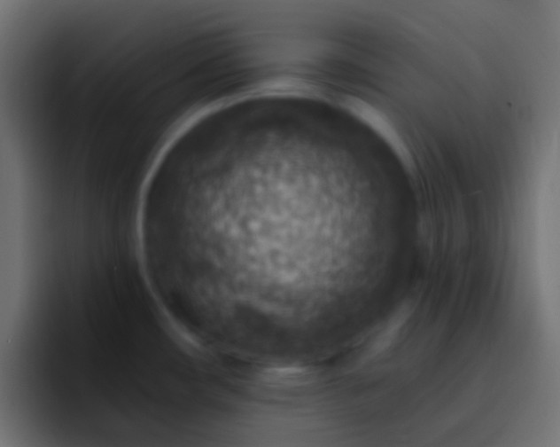 X0000093171482200710031455