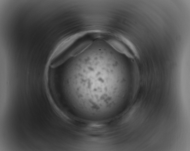 X0000093171483200710031455