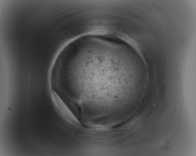 X0000093171488200710031455