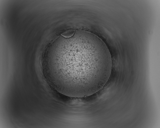 X0000093171489200710031454