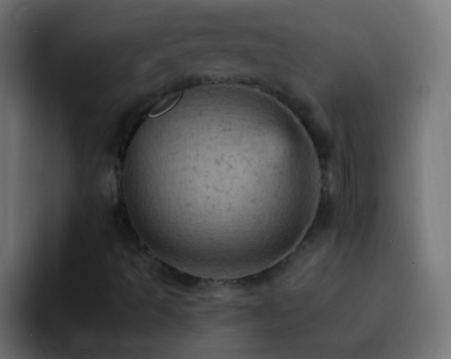 X0000093171493200710031454
