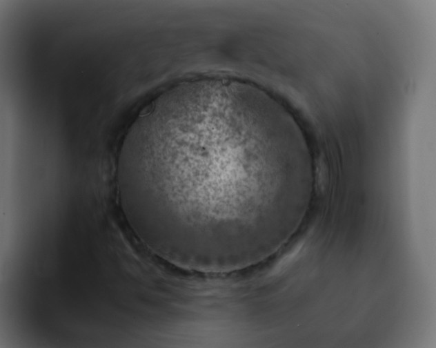 X0000093171494200710031454