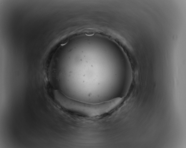 X0000093171496200710031454