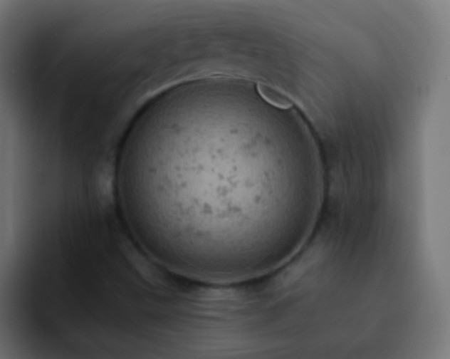X0000093171499200710031454