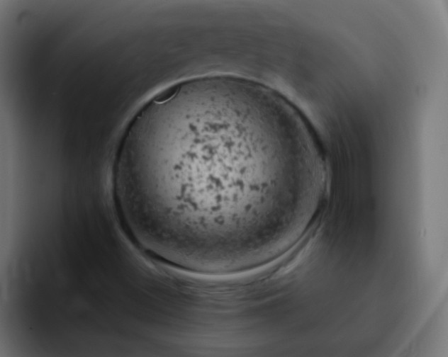 X0000093171500200710031454