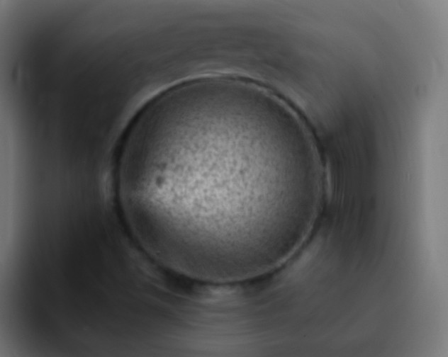X0000093171501200710031454
