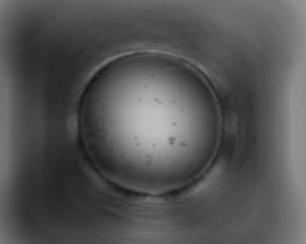 X0000093171503200710031454