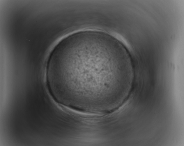 X0000093171504200710031454