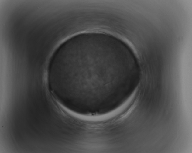 X0000093171506200710031454