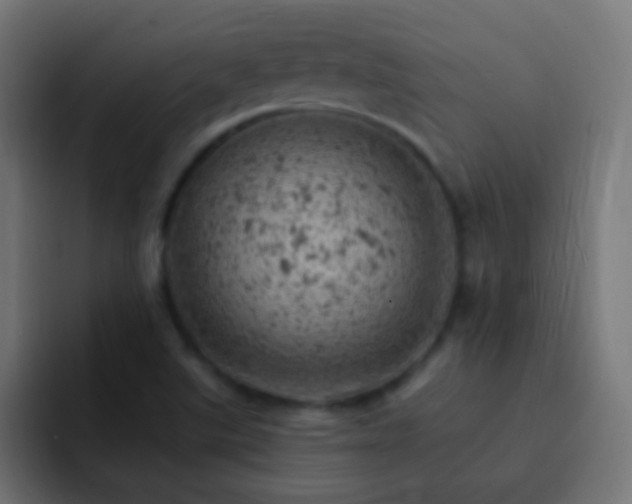 X0000093171507200710031454