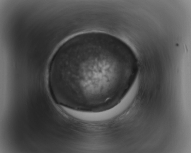 X0000093171508200710031454